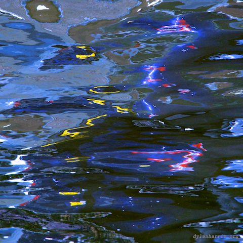 image: unlabelled image