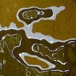 image: unlabelled image