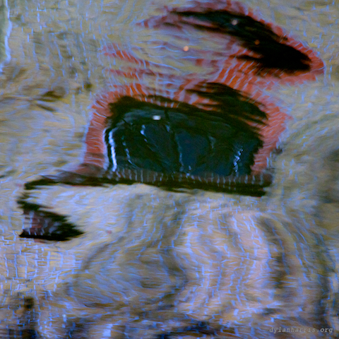 image: unlabelled image