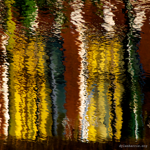 image: unlabelled image