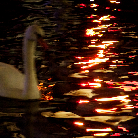 image: unlabelled image