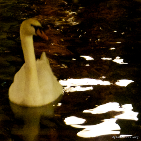 image: unlabelled image