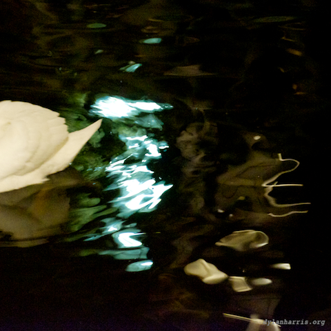 image: unlabelled image