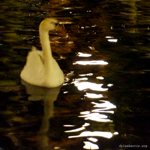 image: unlabelled image