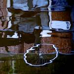 image: unlabelled image