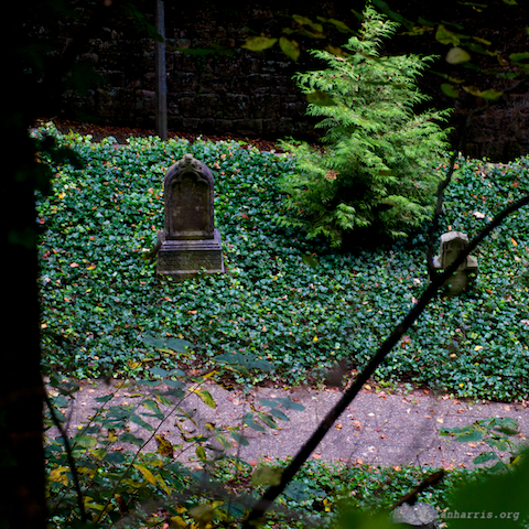 image: unlabelled image