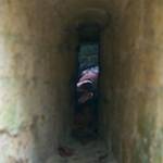 image: the eu makes the union flag smile