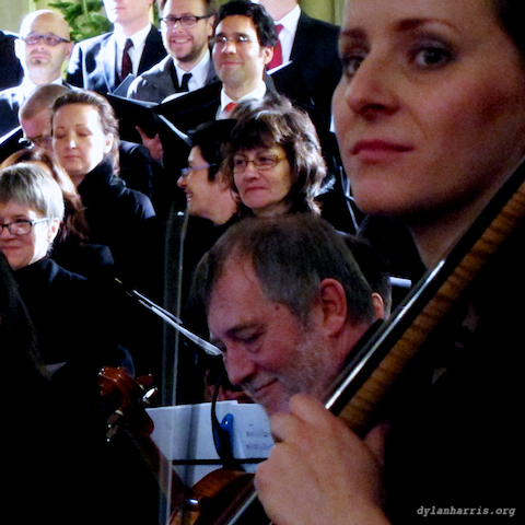 image: unlabelled image