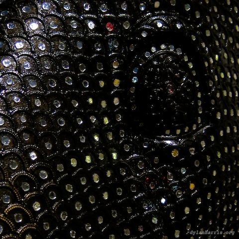 image: unlabelled image