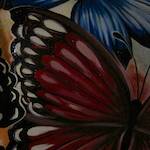 image: unlabelled image