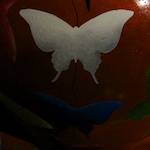 image: unlabelled image