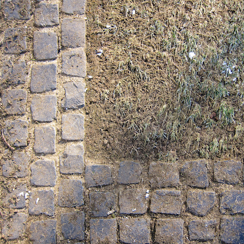 image: unlabelled image