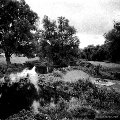 image: unlabelled image