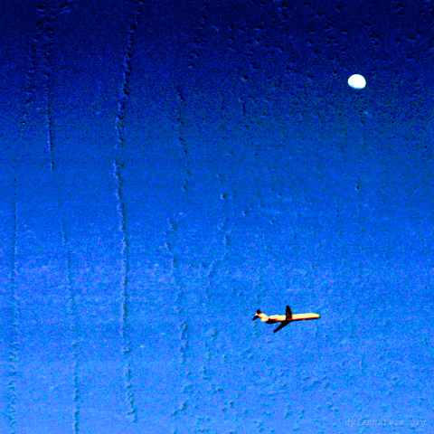 image: unlabelled image