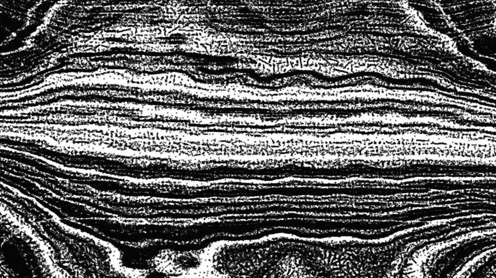 Image 'reflets &mdash; paint synthesiser classic &mdash; users 1 aaa tucker 10 5'.