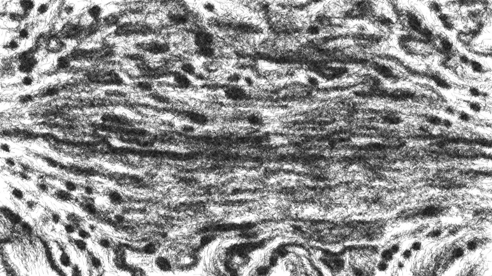 Image 'reflets &mdash; paint synthesiser classic &mdash; users 1 aaa tucker 8 8'.