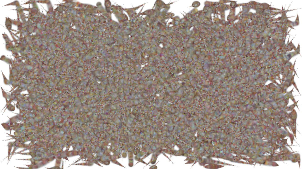 Image '4.0 A collection active draw manual 1 4'.