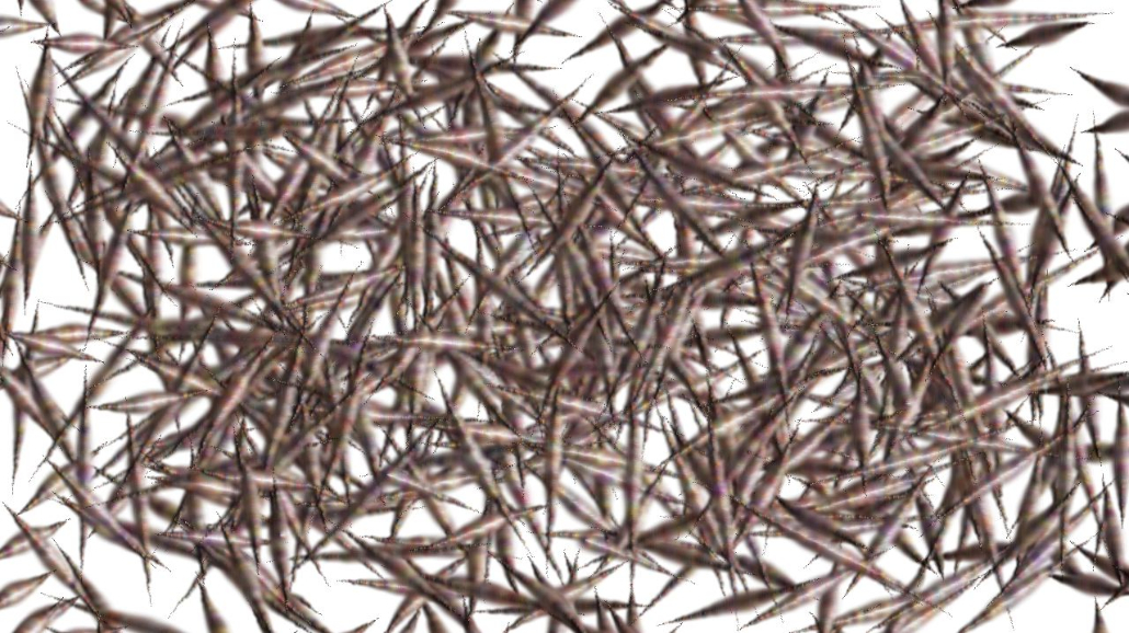 Image '4.0 A collection active draw manual 1 5'.