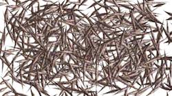 Fifth of '4.0 A collection active draw manual 1'.