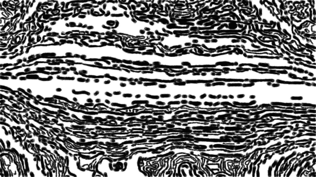 Image '4.0 A collection autodraw styles 1 6'.