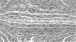 Fifth of '4.0 A collection autodraw styles 1'.