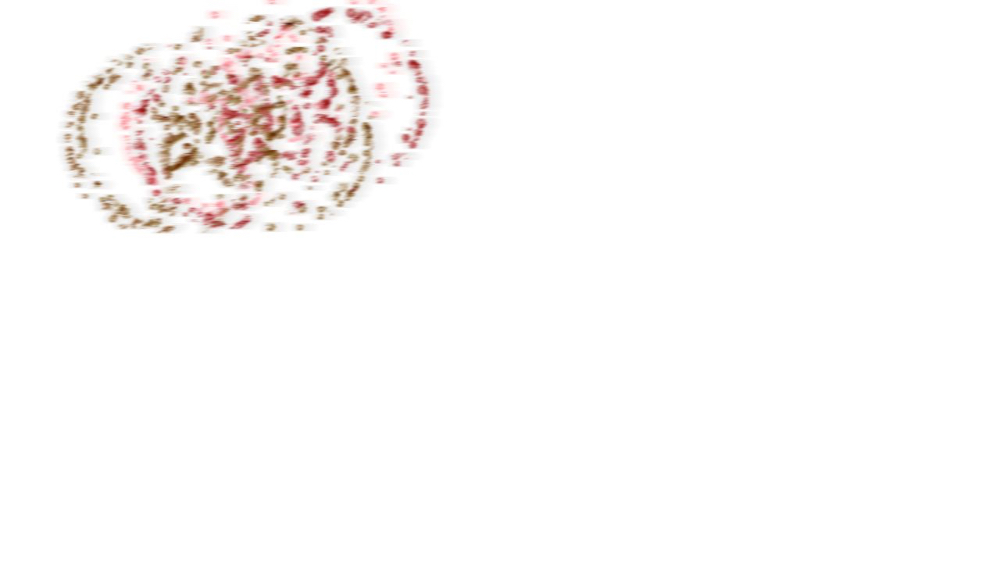 Image 'reflets &mdash; dualmode paint &mdash; default attractor test 1 8'.