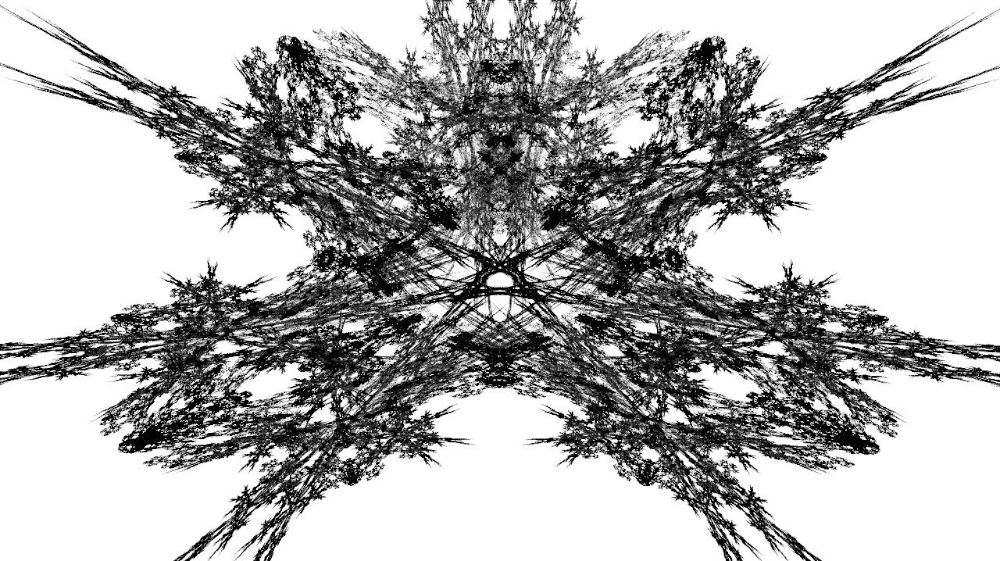 Image 'reflets &mdash; msg &mdash; abstract attractors black & white 1 3'.