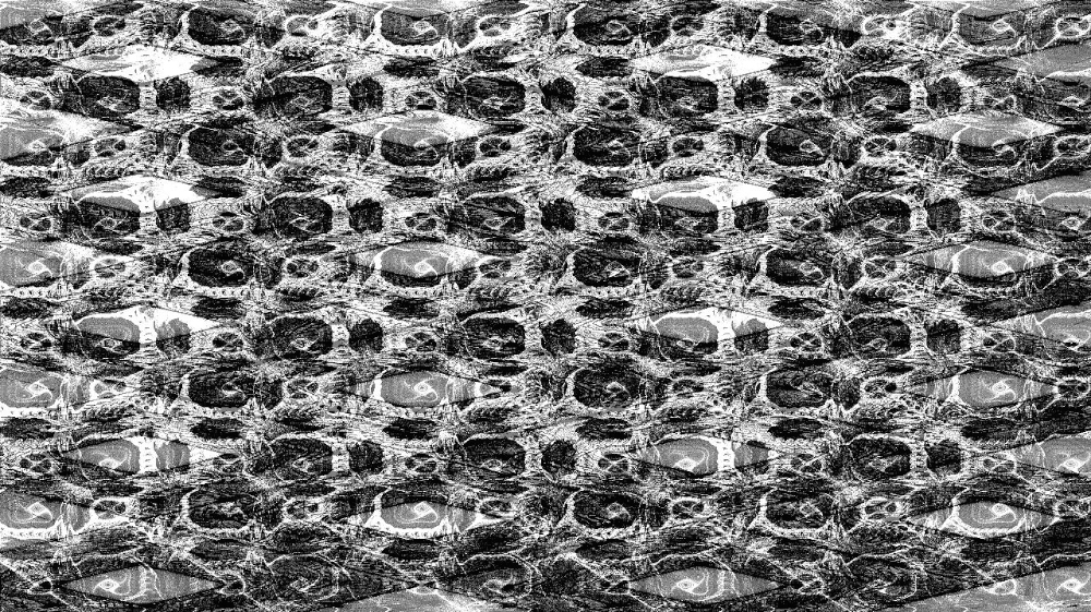 Image 'tg anim attrt 4 5'.