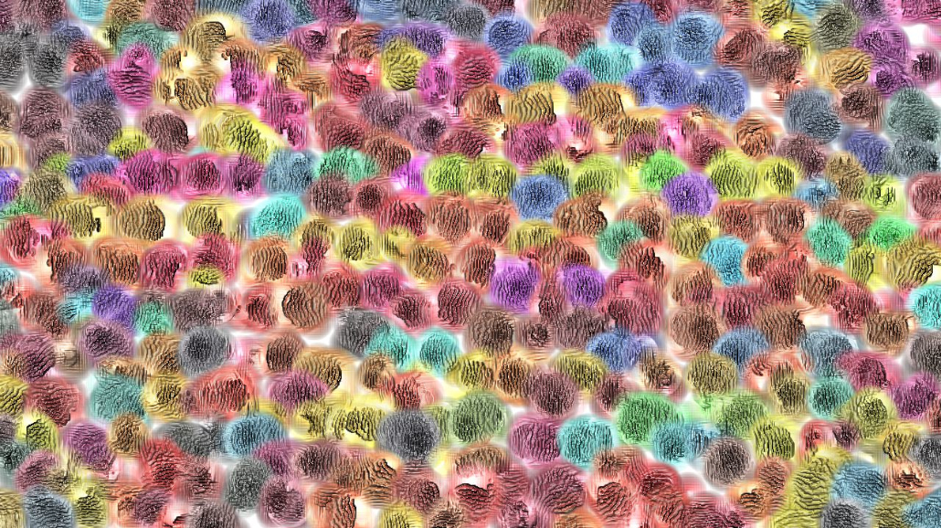 Image '4.0 A collection autoscan 2 3'.