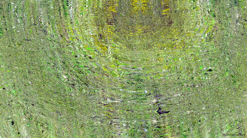 Image 'reflets &mdash; msg &mdash; variations 1 backing 0 5 4'.