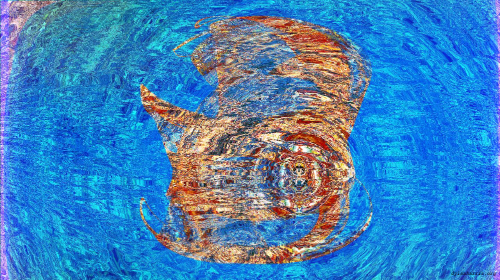 Image 'reflets &mdash; msg &mdash; variations 1 boxed 3 1'.