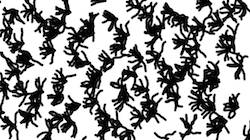 Fifth of 'reflets &mdash; paint synthesiser classic &mdash; 2.0 collection branchy filaments 1'.