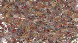 Third of '4.0 A collection bubbly 1'.