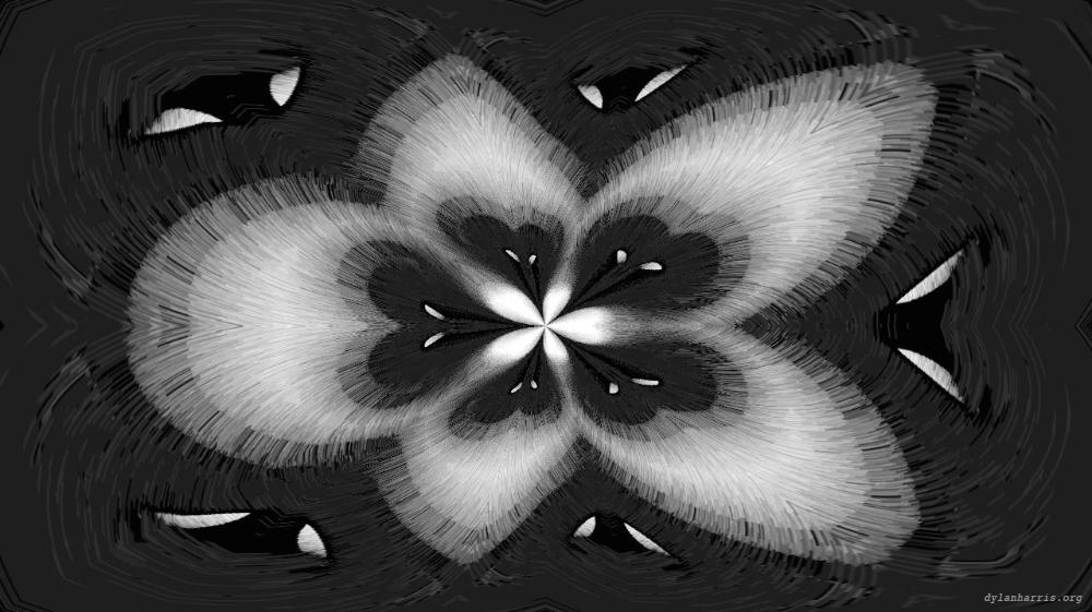 Image 'reflets &mdash; msg &mdash; variations 0 bw attractor 2 1'.