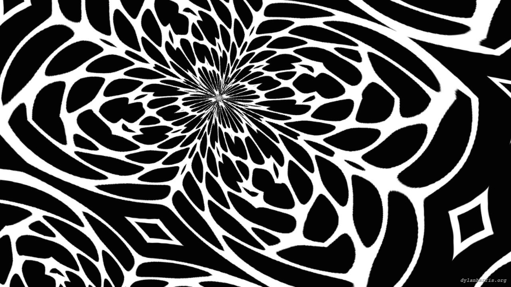 Image 'reflets &mdash; msg &mdash; variations 0 bw attractor 3 6'.