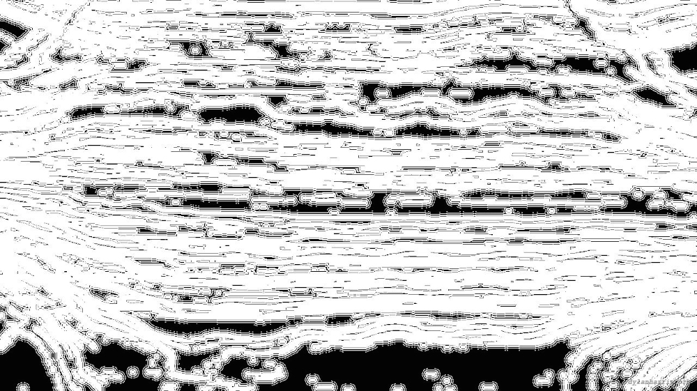 Image 'reflets &mdash; msg &mdash; processing effects 0 bw chamfer 1 2 6'.