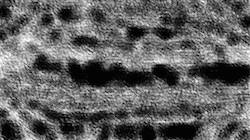 Third of 'reflets &mdash; paint synthesiser classic &mdash; 3.0 collection bw effects 1'.