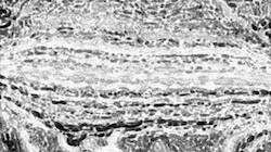 Fourth of 'reflets &mdash; paint synthesiser classic &mdash; 3.0 collection bw effects 1'.