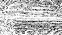 Seventh of 'reflets &mdash; paint synthesiser classic &mdash; 3.0 collection bw effects 1'.