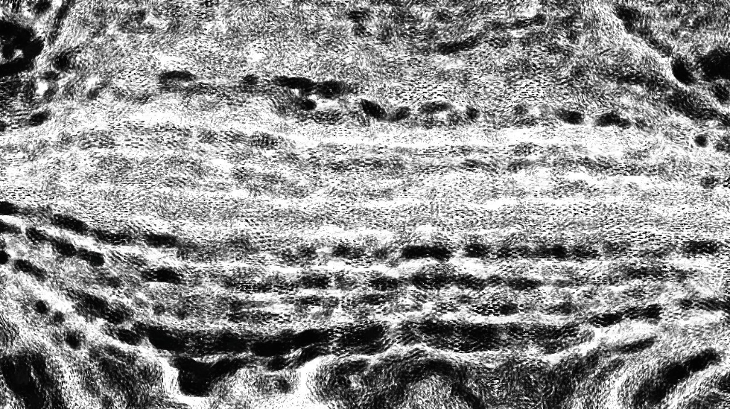 Image 'reflets &mdash; paint synthesiser classic &mdash; 3.0 collection bw effects 2 4'.