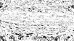 Third of 'reflets &mdash; paint synthesiser classic &mdash; 3.0 collection bw effects 2'.