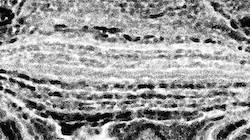 Fourth of 'reflets &mdash; paint synthesiser classic &mdash; 3.0 collection bw effects 2'.