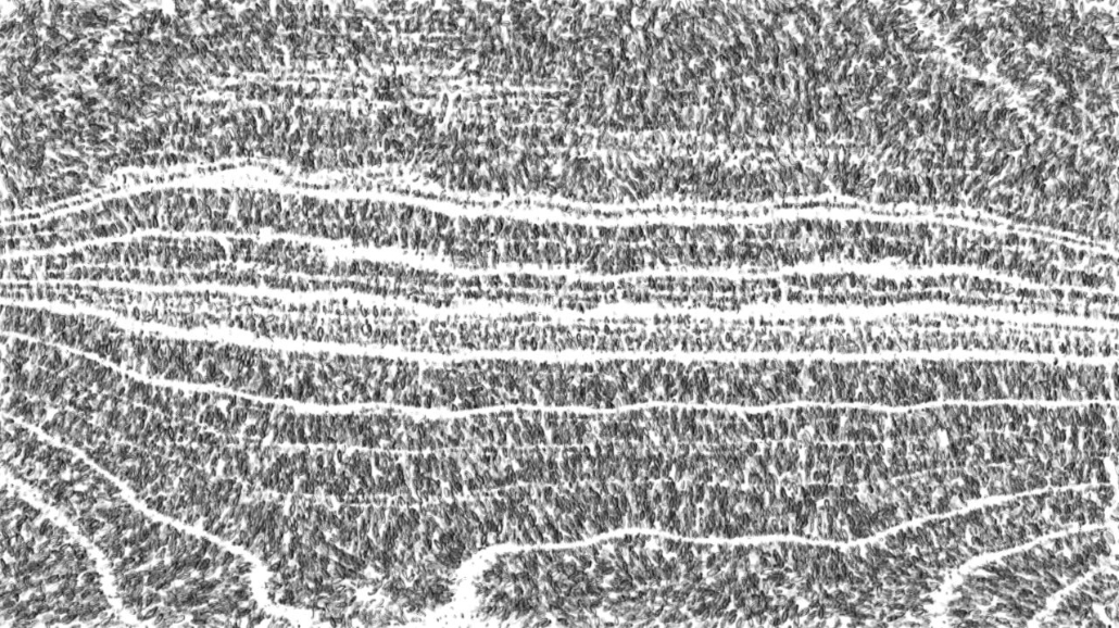 Image 'reflets &mdash; paint synthesiser classic &mdash; 2.0 collection BW hatch 1 2'.