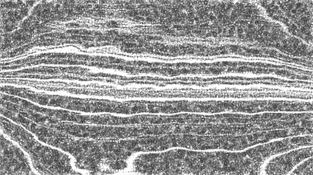 Image 'reflets &mdash; paint synthesiser classic &mdash; 2.0 collection BW hatch 1 3'.