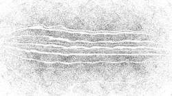 Second of 'reflets &mdash; paint synthesiser classic &mdash; 2.0 collection BW hatch 1 1'.