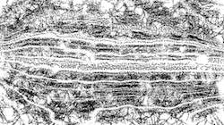 Fifth of 'reflets &mdash; paint synthesiser classic &mdash; 2.0 collection BW hatch 1 2'.