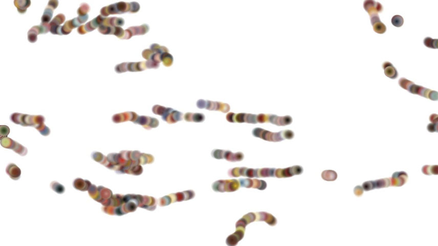 Image 'reflets &mdash; paint synthesiser classic &mdash; users chuck&rsquo;s beta test 5 6'.