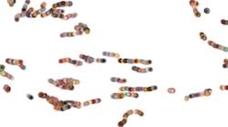 Sixth of 'reflets &mdash; paint synthesiser classic &mdash; users chuck&rsquo;s beta test 5'.