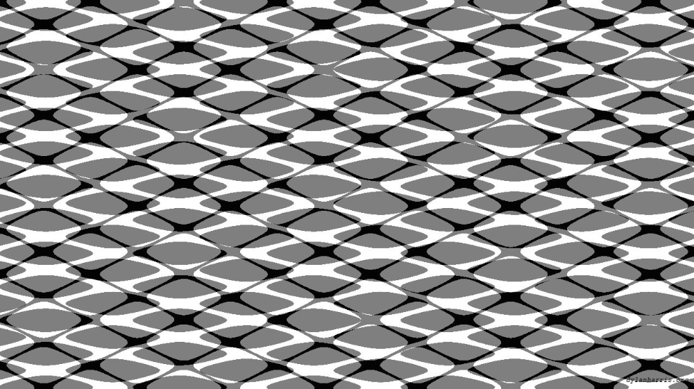 Image 'reflets &mdash; msg &mdash; users chaos 2 6'.