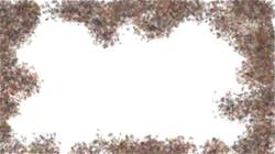 Sixth of 'reflets &mdash; paint synthesiser classic &mdash; 3.0 collection cloners 1 3'.